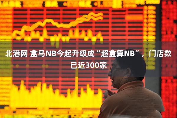北港网 盒马NB今起升级成“超盒算NB”，门店数已近300家