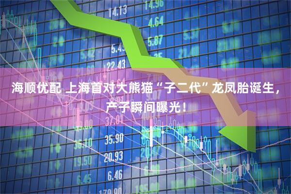 海顺优配 上海首对大熊猫“子二代”龙凤胎诞生，产子瞬间曝光！