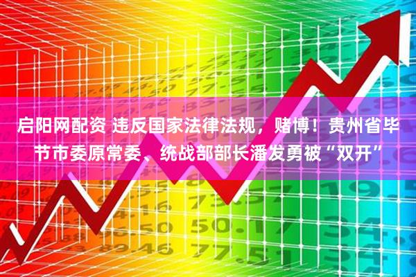 启阳网配资 违反国家法律法规，赌博！贵州省毕节市委原常委、统战部部长潘发勇被“双开”