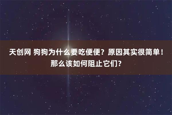 天创网 狗狗为什么要吃便便？原因其实很简单！那么该如何阻止它们？